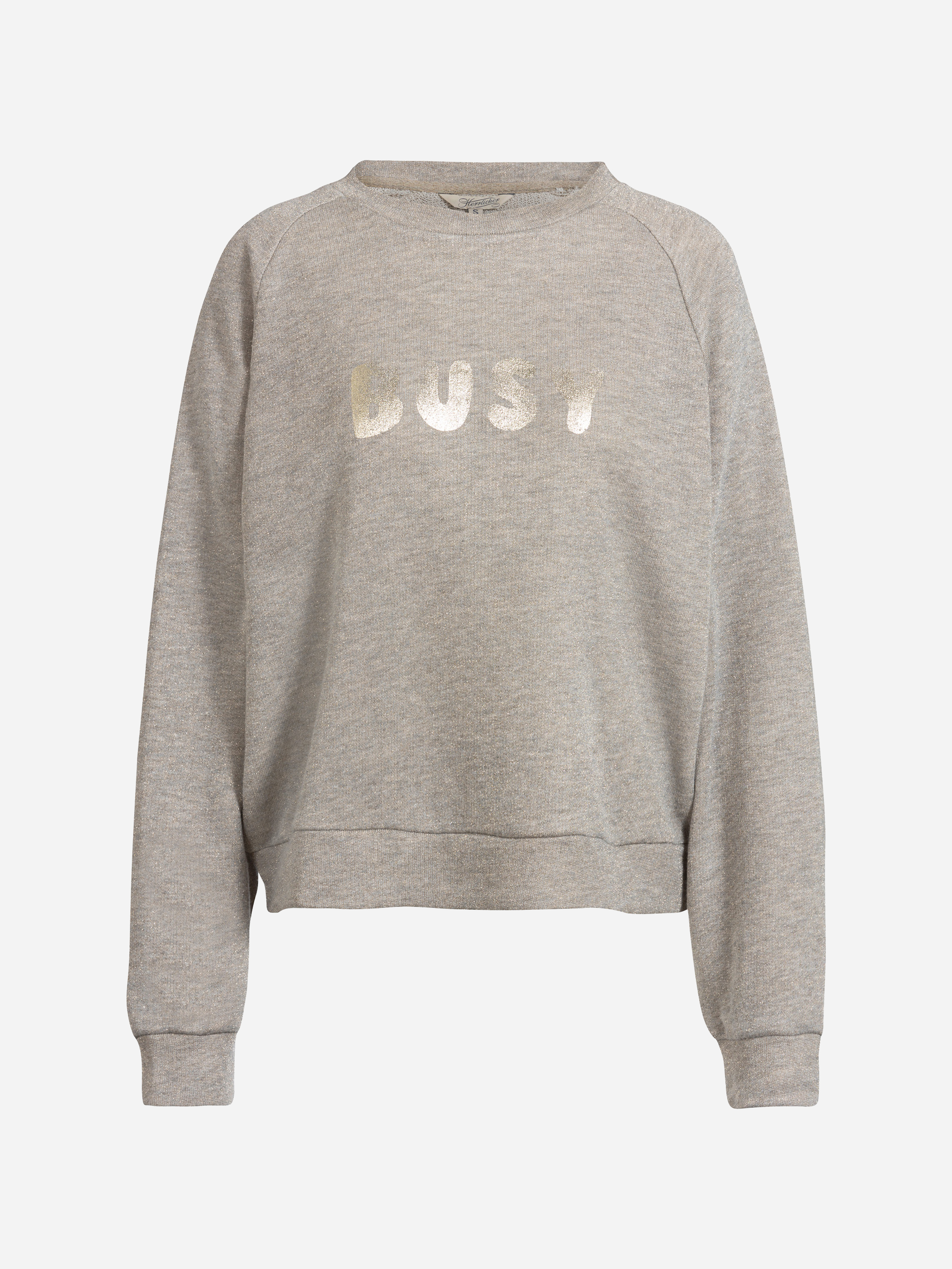 Ein hellgraues Sweatshirt mit langen Ärmeln und gerippten Bündchen, auf dem das Wort DUST in glänzenden Metallbuchstaben auf der Brust steht. Das Sweatshirt ist auf einem schlichten weißen Hintergrund abgebildet.