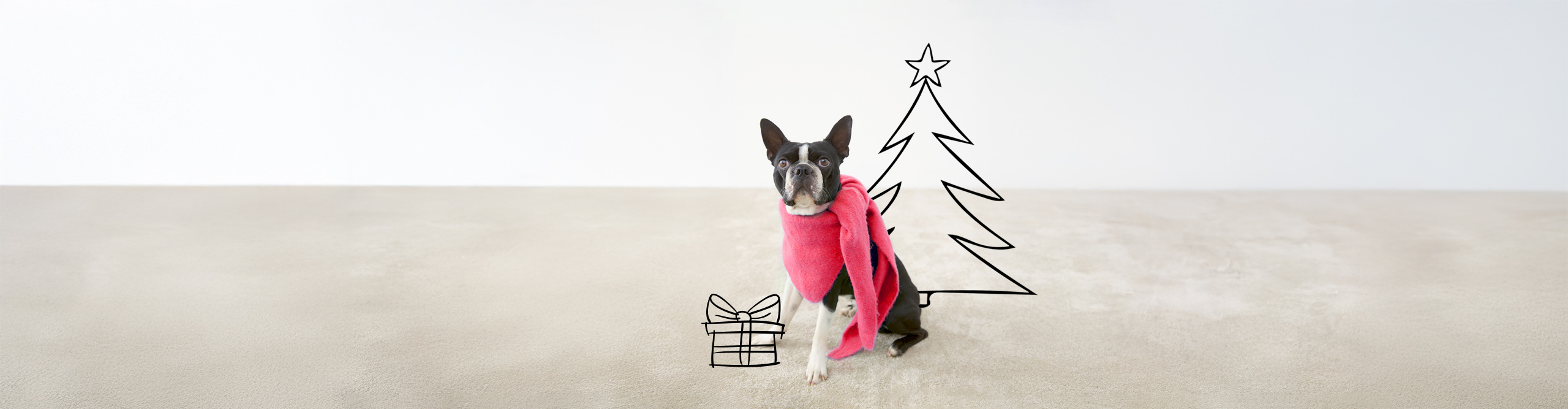 Ein kleiner schwarz-weißer Hund mit einem roten Pullover sitzt auf einem beigen Boden. Neben dem Hund ist eine Skizze eines Geschenks und eines Weihnachtsbaums in schwarzen Linien gezeichnet.