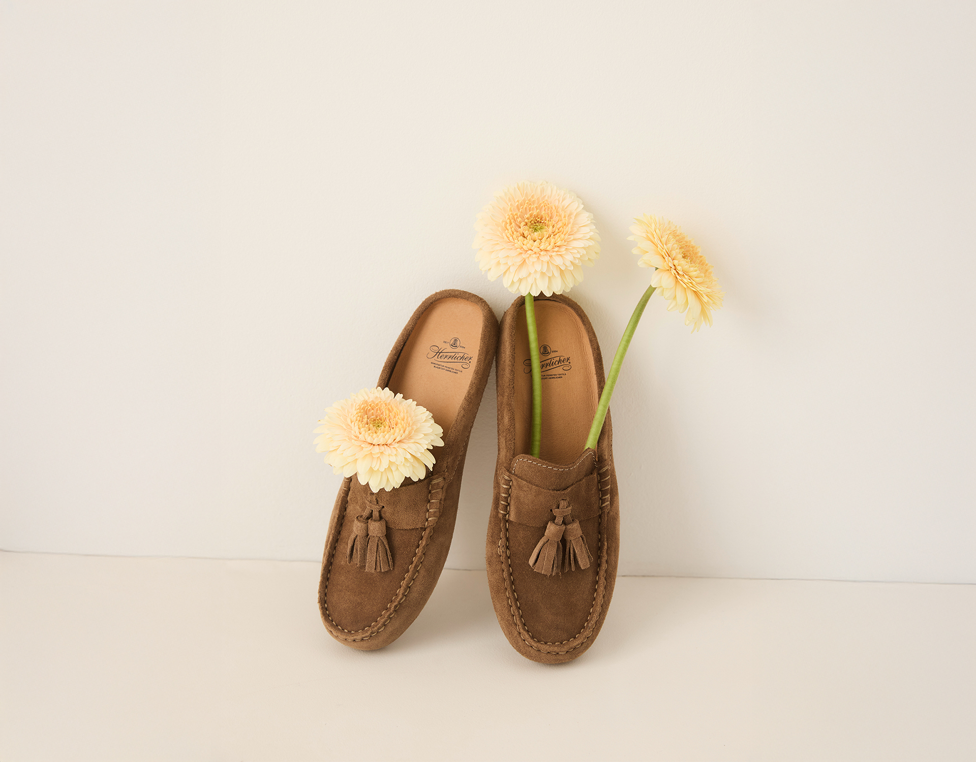 Zwei braune Wildlederschuhe mit Quasten stehen aufrecht vor einem schlichten weißen Hintergrund. Jeder Schuh enthält ein hellgelbes Gerbera-Gänseblümchen, wobei ein zusätzliches Gänseblümchen im linken Schuh platziert ist.